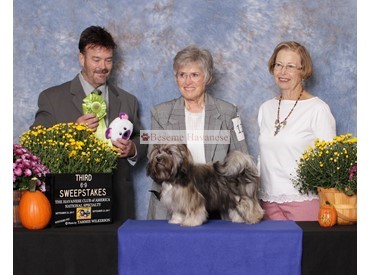 3rd of 22  in 6-9 puppy sweepstakes at National Specialty