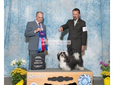 Frank'E reserve best in show