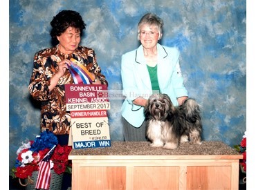 Best of Breed 5 point major 6 to 9 months